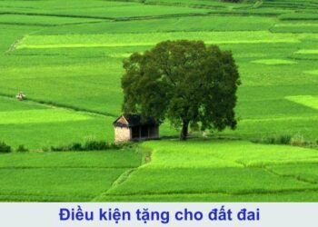 Luật sư Phan Đức Hiếu – PGĐ Trung tâm tư vấn pháp luật Toàn Tâm (TTLCC): Con ngược đãi, cha mẹ không có quyền lấy lại đất đã tặng – Em rể tặng quyền sử dụng đất, cần làm gì?