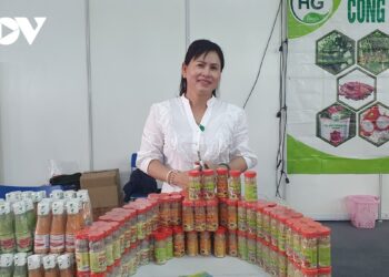 Doanh nghiệp được mùa xuất khẩu phân khúc hàng bình dân