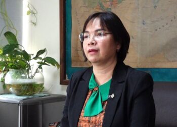 Vụ trưởng Vụ Đất đai (Bộ Tài nguyên và Môi trường) Đoàn ThịThanh Mỹ: Sớm đưa Luật Đất đai (sửa đổi) vào cuộc sống