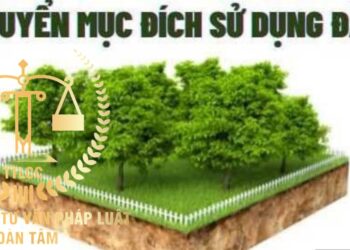 Trung tâm tư vấn pháp luật Toàn Tâm (TTLCC): Người dân có thể bị phạt khi thực hiện chuyển đổi đất – Thủ tục sang tên sổ đỏ khi bố mất không để lại di chúc