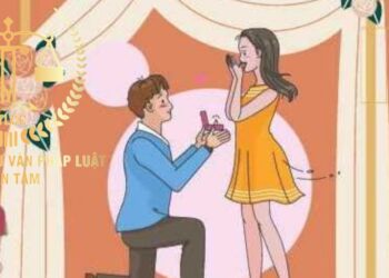 Trung tâm tư vấn pháp luật Toàn Tâm (TTLCC): Con riêng của vợ có thể kết hôn với con riêng của chồng – Vợ có quyền không ghi tên chồng trong giấy khai sinh của con không?