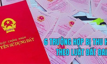 Những trường hợp nào sẽ bị thu hồi sổ đỏ khi Luật đất đai 2024 có hiệu lực?