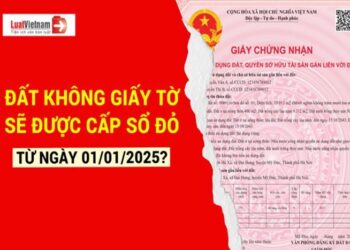 Những loại đất không giấy tờ nào sẽ được cấp sổ đỏ từ1/1/2025?
