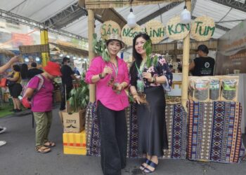 Dược liệu Hồng Phát Kon Plông đưa Sâm Ngọc Linh tươi đến Lễ hội ‘Sâm và Hương liệu, Dược liệu quốc tế TP.HCM 2024