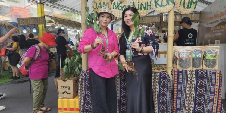 Dược liệu Hồng Phát Kon Plông đưa Sâm Ngọc Linh tươi đến Lễ hội ‘Sâm và Hương liệu, Dược liệu quốc tế TP.HCM 2024