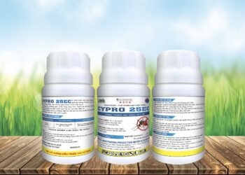 Công ty CPTM SX – XNK Otuksa Nhật Bản vừa cho ra mắt sản phẩm Chế phẩm diệt muỗi thế hệ mới CYPRO 25EC