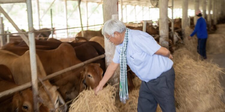 Doanh nhân Võ Quan Huy hành trình hơn 30 năm phủ xanh “Rừng hoang – Ruộng phèn”