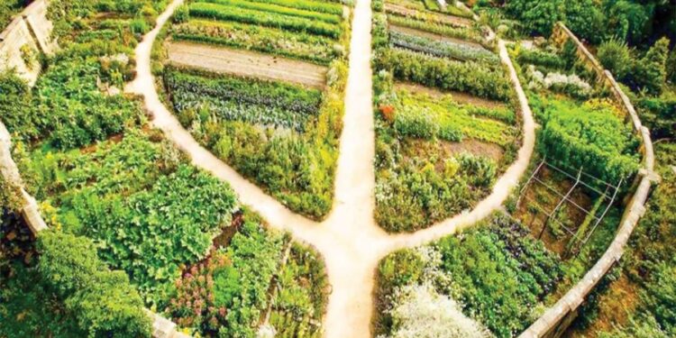 Trung tâm tư vấn pháp luật Minh Sơn :Đất nông nghiệp có thể kết hợp làm du lịch nông trại không cần xin chuyển đổi mục đích