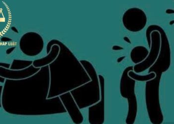 Trung tâm tư vấn pháp luật Toàn Tâm (TTLCC): Mẹ nuôi chết không để lại di chúc, con nuôi có được chia tài sản – Chủ nợ qua đời, con ruột có đòi nợ thay?