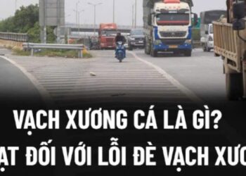 Trung tâm tư vấn pháp luật Toàn Tâm trả lời thư người dân: