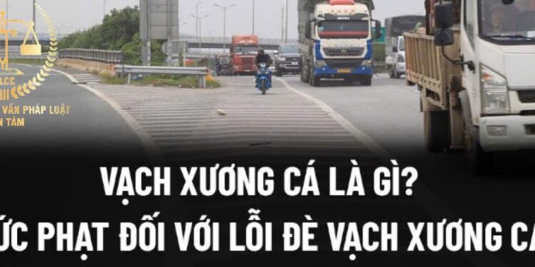 Trung tâm tư vấn pháp luật Toàn Tâm trả lời thư người dân: