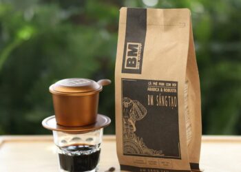 Trách nhiệm xã hội của Công ty BM Group trong ngành sản xuất cà phê bền vững