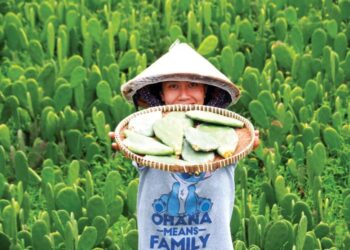 Khởi nghiệp từ nguyên liệu bỏ đi – Nâng tầm sản vật tỉnh Phú Yên