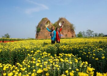 Huyện Chợ Lách (Bến Tre): Chuẩn bị tổ chức Lễ hội hoa – kiểng, quảng bá vương quốc cây giống đến du khách