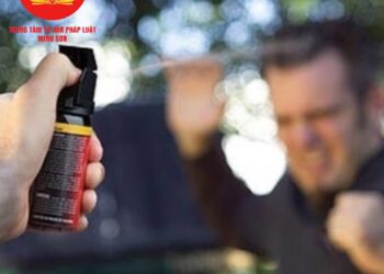 Trung tâm tư vấn pháp luật Minh Sơn: Dùng bình xịt hơi cay để tự vệ có vi phạm không – Ai có trách nhiệm trả nợ khi người vay chết?