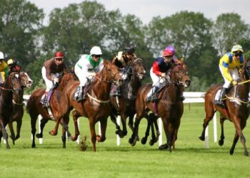 Hành lang pháp lý cho đặt cược thể thao và kinh doanh đặt cược thể thao