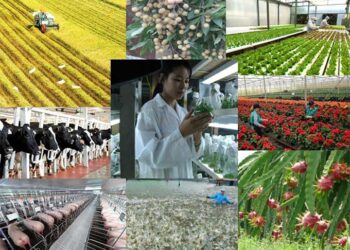 Cơ giới hóa, ứng dụng công nghệ, thiết bị phục vụ sản xuất nông nghiệp – Thúc đẩy kinh tế tuần hoàn trong nông nghiệp