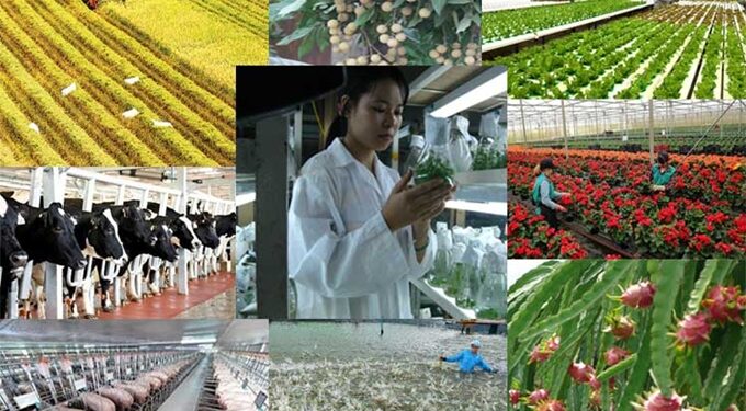 Cơ giới hóa, ứng dụng công nghệ, thiết bị phục vụ sản xuất nông nghiệp – Thúc đẩy kinh tế tuần hoàn trong nông nghiệp