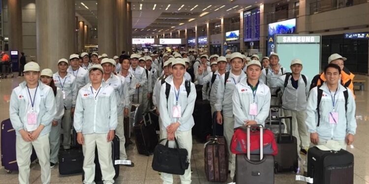 Nhiều thị trường lao động đem lại thu nhập cao nhất cho lao động Việt Nam?