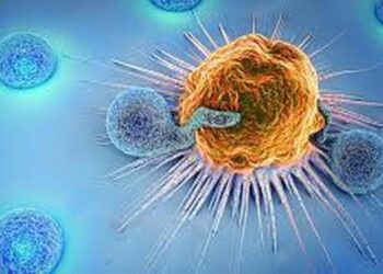 Biến tế bào ung thư thành tế bào bình thường