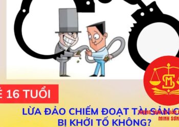 Trung tâm tư vấn pháp luật Minh Sơn: Người dưới 16 tuổi lừa đảo chiếm đoạt tài sản – Hành vi đánh bạc bị xử lý hình sự trong trường hợp nào?