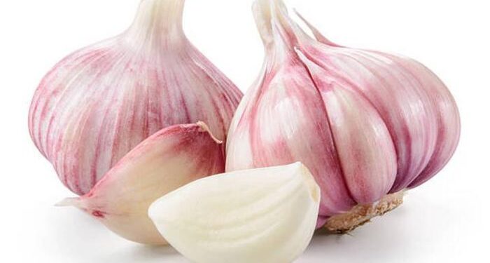 Chuyên gia đông y hướng dẫn sử dụng tỏi đúng cách