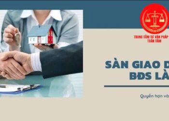 Trung tâm tư vấn pháp luật Toàn Tâm: Tham gia giao dịch bất động sản tại sàn giao dịch bất động sản, người tham gia có quyền và nghĩa vụ – Mua đất có nguồn gốc đất công, ra sao?