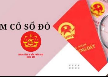 Trung tâm tư vấn pháp luật Minh Sơn: Giải quyết thế nào khi con trai lấy trộm sổ đỏ đi cầm cố- Có thể sửa đổi, bổ sung, thay thế, hủy bỏ di chúc đã lập không?