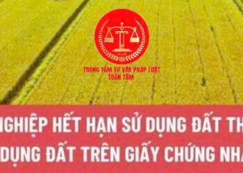 Trung tâm tư vấn pháp luật Toàn Tâm: Đất nông nghiệp hết thời hạn sử dụng, người nhận chuyển nhượng phải làm gì – Giảm tiền thuê đất phải nộp của năm 2024?