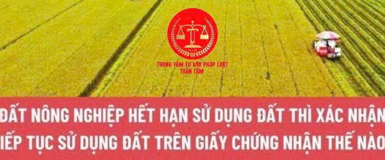 Trung tâm tư vấn pháp luật Toàn Tâm: Đất nông nghiệp hết thời hạn sử dụng, người nhận chuyển nhượng phải làm gì – Giảm tiền thuê đất phải nộp của năm 2024?