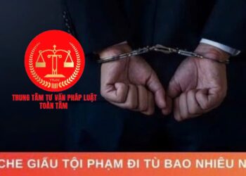 Bước tiến quan trọng về chính sách hình sự với hình phạt ‘tù chung thân không xét giảm án’ và yếu tố pháp lý liên quan hành vi che giấu tội phạm