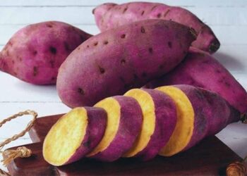 10 loại thực phẩm vàng cho sức khỏe