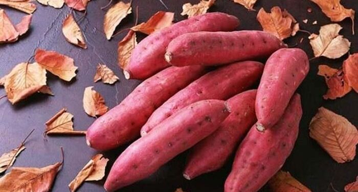 Bụng đói có nên ăn khoai lang?