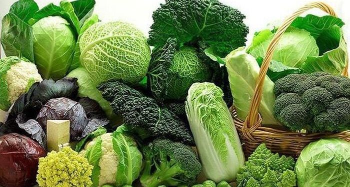 5 loại thực phẩm tốt cho tim mạch nên ăn mỗi ngày