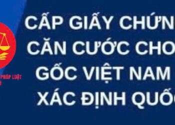 Trung tâm tư vấn pháp luật Minh Sơn: Cấp thẻ căn cước với người ở nước ngoài; có hộ chiếu,nơi sinh tại Việt Nam – Từng thôi quốc tịch, giờ xin nhập lại được không?
