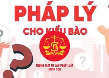 Trung tâm tư vấn pháp luật Minh Sơn: Kiều bào có được đầu tư bất động sản tại Việt Nam – Định cư ở nước ngoài, bằng lái hết hạn có đổi được không?