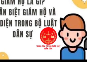 Trung tâm tư vấn pháp luật Toàn Tâm: Người giám hộ có được bán nhà đất là tài sản của trẻ vị thành niên – Khi ly hôn chủ hộ được nắm quyền chia tài sản?