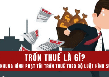 TS. Hồ Minh Sơn: Xuất hóa đơn điện tử, hộ kinh doanh làm gì để không vi phạm pháp luật – Không ghi nội dung chuyển khoản’ để né thuế có thể bị truy cứu trách nhiệm hình sự?