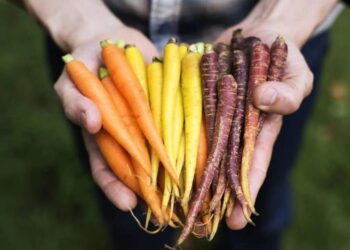 7 thực phẩm càng ăn, mắt càng sáng khỏe