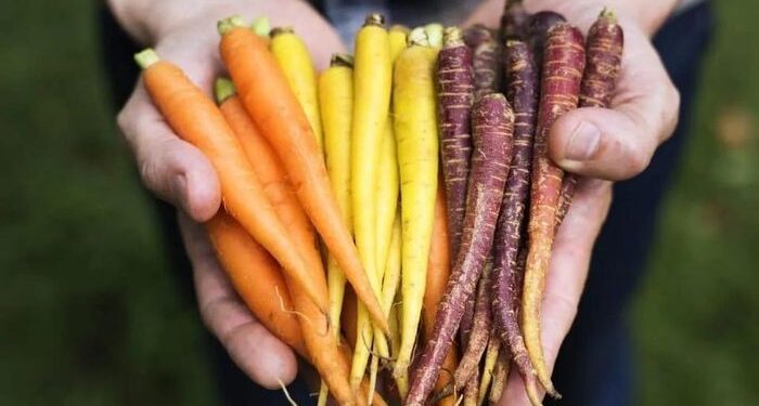 7 thực phẩm càng ăn, mắt càng sáng khỏe