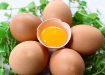 Bài thuốc từ quả trứng gà