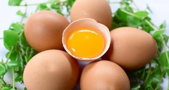 Bài thuốc từ quả trứng gà
