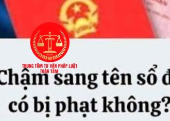 Trung tâm tư vấn pháp luật Toàn Tâm: Trường hợp nào không được cấp Giấy chứng nhận quyền sử dụng đất – Có thể bị phạt 25 triệu đồng nếu mắc sai lầm khi sang tên sổ đỏ?