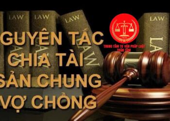 Trung tâm tư vấn pháp luật Toàn Tâm: Chia di sản thừa kế là tài sản chung vợ chồng, khi một bên chết – Ly hôn chia tài sản như thế nào, khi không đứng tên sổ đỏ?
