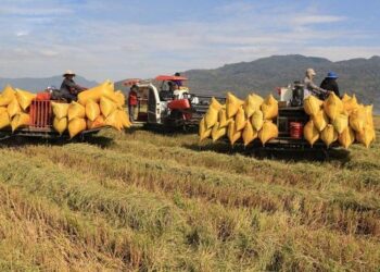 Vì sao Tập đoàn Lộc Trời (LTG) bị Thanh tra Uỷ ban Chứng khoán Nhà nước xử phạt?