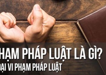 TS. Hồ Minh Sơn: Yếu tố pháp lý vụ dàn dựng clip có “cảnh nóng” trong xe Mercedes C300 vàcó thể đối mặt vòng lao lý khi nhặt được sổ đỏ ‘xin bồi dưỡng 10 triệu’?