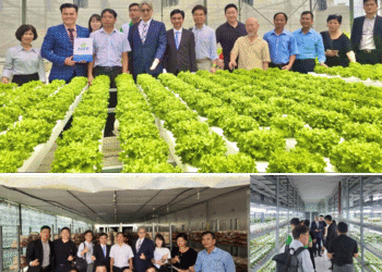 WVCEA: Bắc cầu nối để tình hữu nghị Việt – Hàn mãi xanh tươi