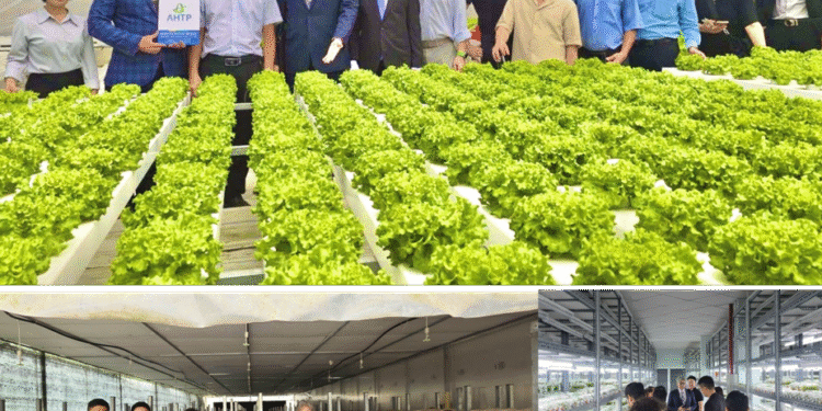 WVCEA: Bắc cầu nối để tình hữu nghị Việt – Hàn mãi xanh tươi