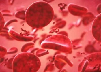 Vì sao con người lại có nhiều nhóm máu khác nhau?