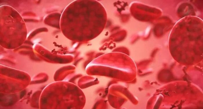 Vì sao con người lại có nhiều nhóm máu khác nhau?